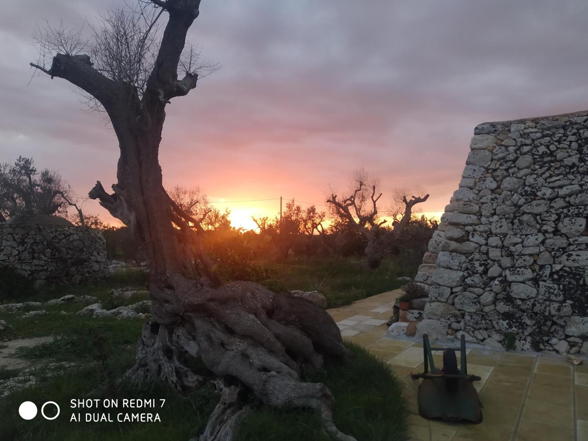 La Nicchia-Trullo Apartman Corigliano dʼOtranto Kültér fotó